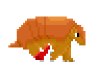 Ollie the armadillo Running.gif